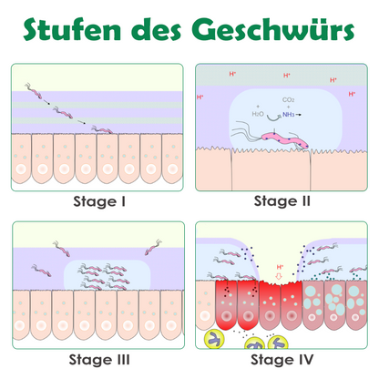 ATTDX Mundpflege Propolis GeschwürErleichterung Sprühen