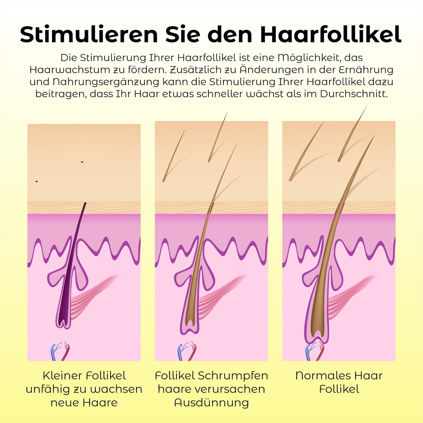 ATTDX Natürliches Haarwachstums Essential Öl