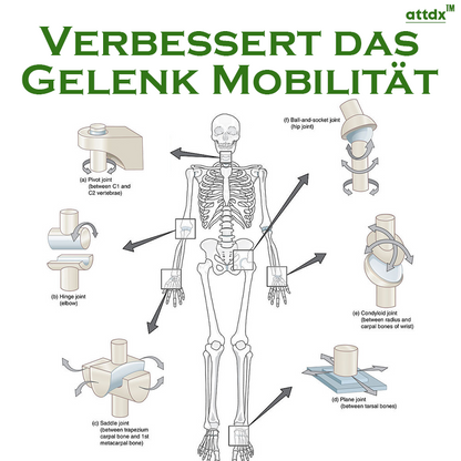 ATTDX Bienengift Gelenk Entlastungs Pflaster