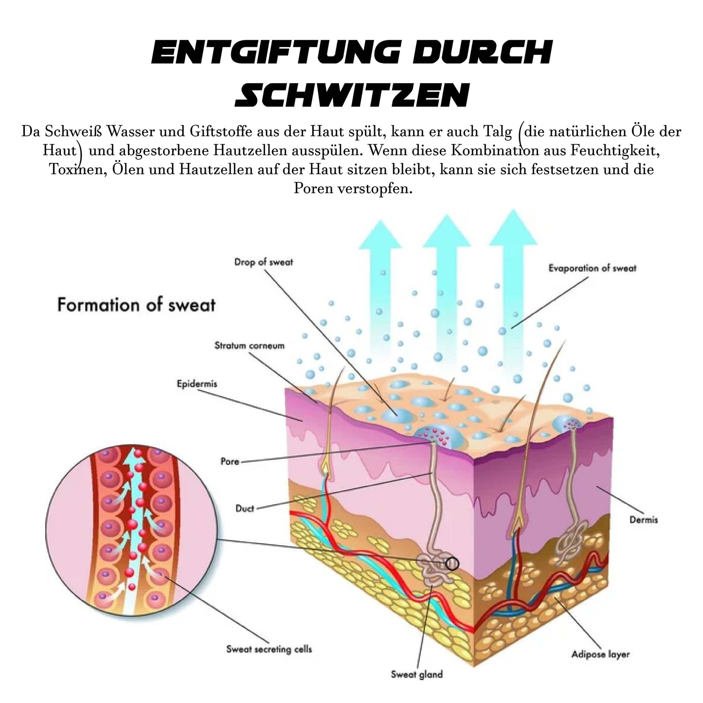 ATTDX Kräuter LymphePflege Entgiftung FußPolster