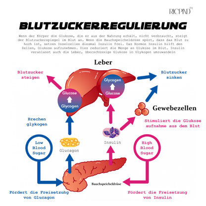 Ricpind ProErleichterung TitanION ZuckerKontrolle Handgelenkband